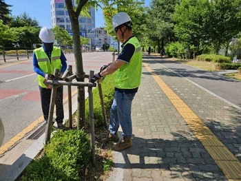 메인사진