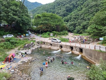 메인사진