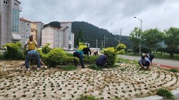 메인사진