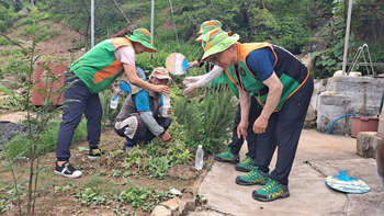 메인사진