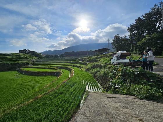 메인사진