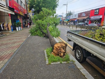 메인사진