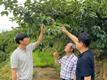 메인사진