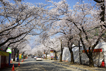 메인사진