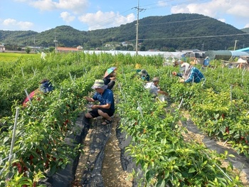 메인사진