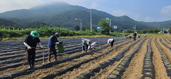 메인사진