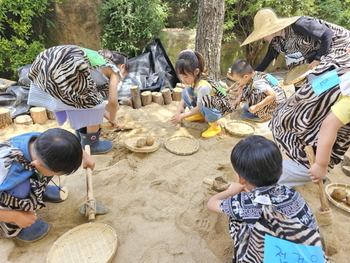 메인사진