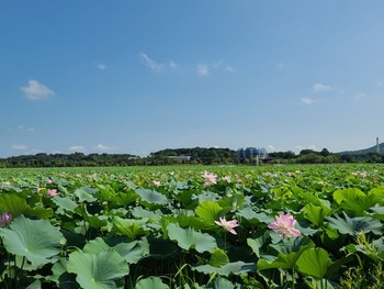 메인사진