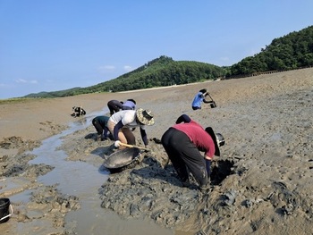 메인사진