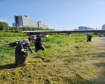 메인사진