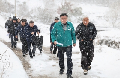 메인사진